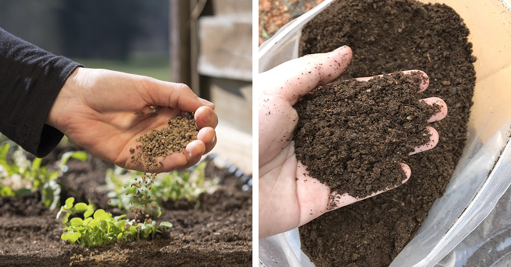 organic and synthetic fertilizers for indoor plants side by side.