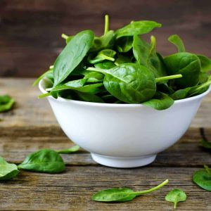 harvested spinach leaves indoors