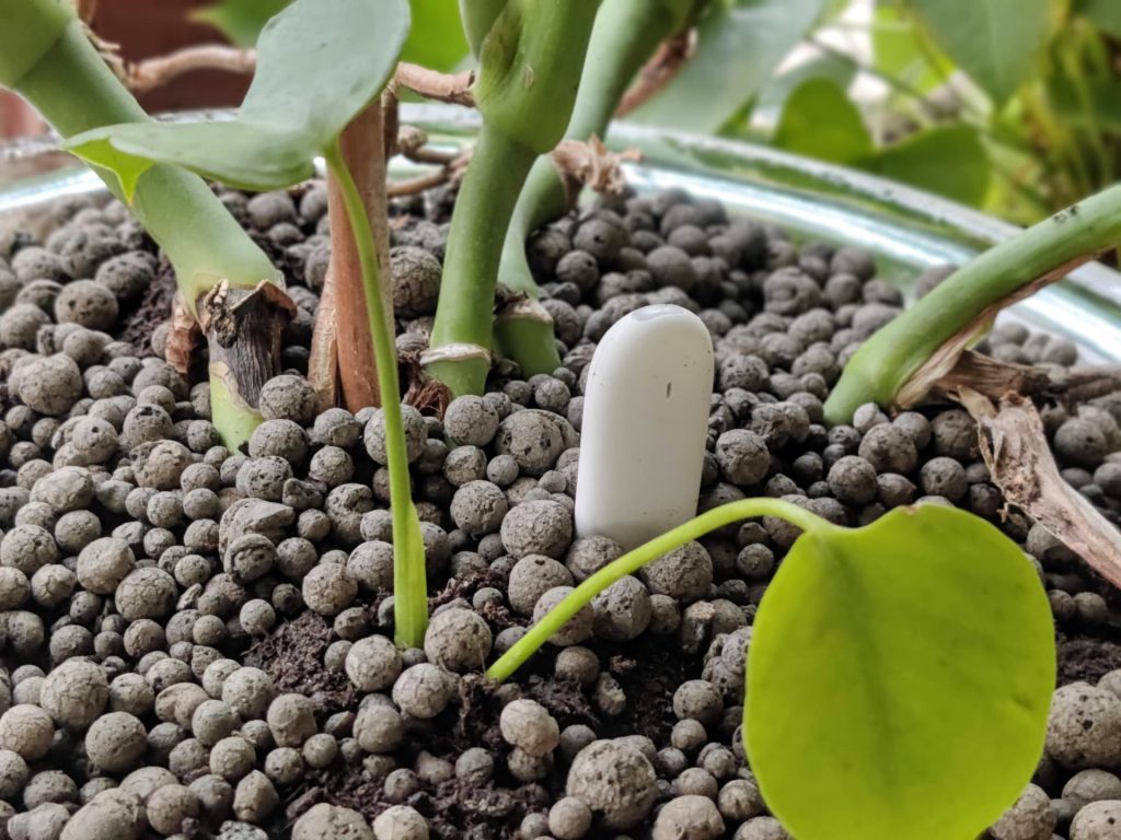 smart soil moisture and light sensor used in potted houseplant