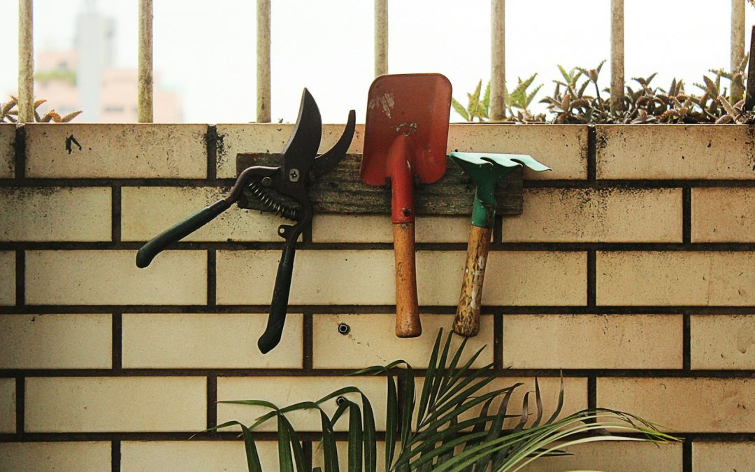 Small-Space Gardening Tools (Compact Gear for Indoor Growers)