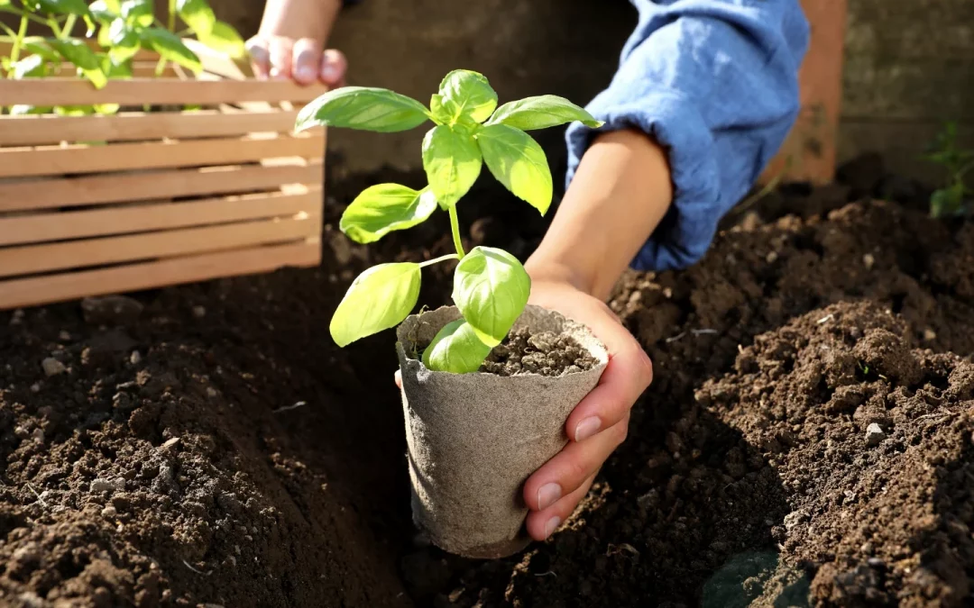 10 Eco-Friendly Gardening Tips for a Greener Home Garden