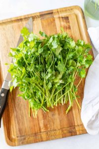 harvested coriander leaves from indoor plant