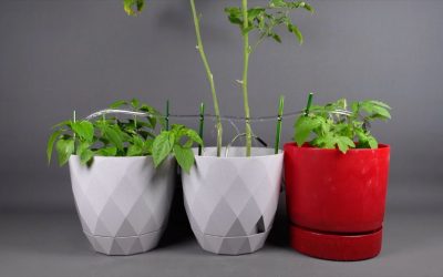 How to Build a DIY Smart Plant Setup (Monitor, Water & Grow Automatically)