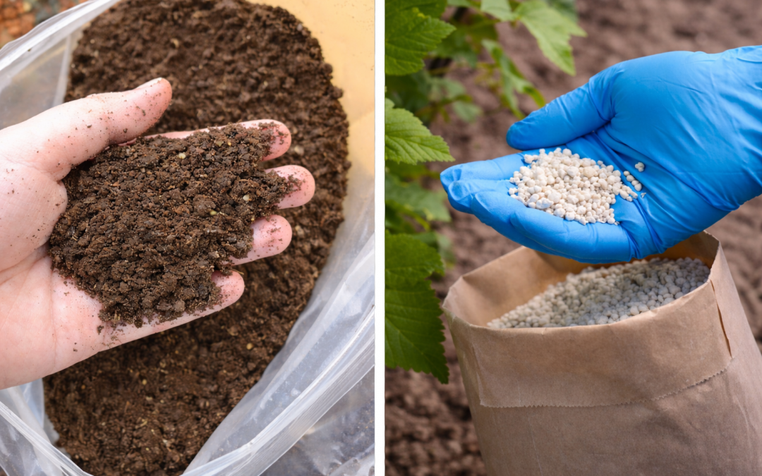 Organic vs Synthetic Fertilisers for Indoor Plants: What Actually Works