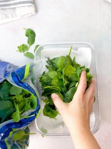 spinach growing indoors in a pot.