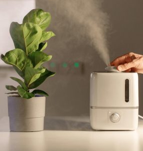 improving humidity for indoor plant growth
