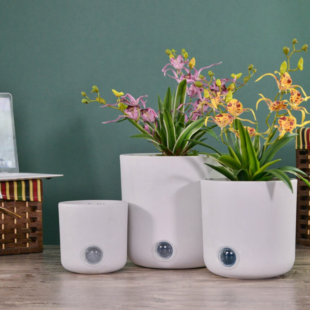 self-watering indoor pots showing water level indicators.