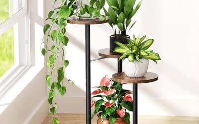 Best Indoor Plant Stands for Small Spaces: 3 UK Options