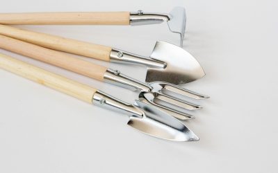 Best Indoor Gardening Tool Set: A Comprehensive Guide