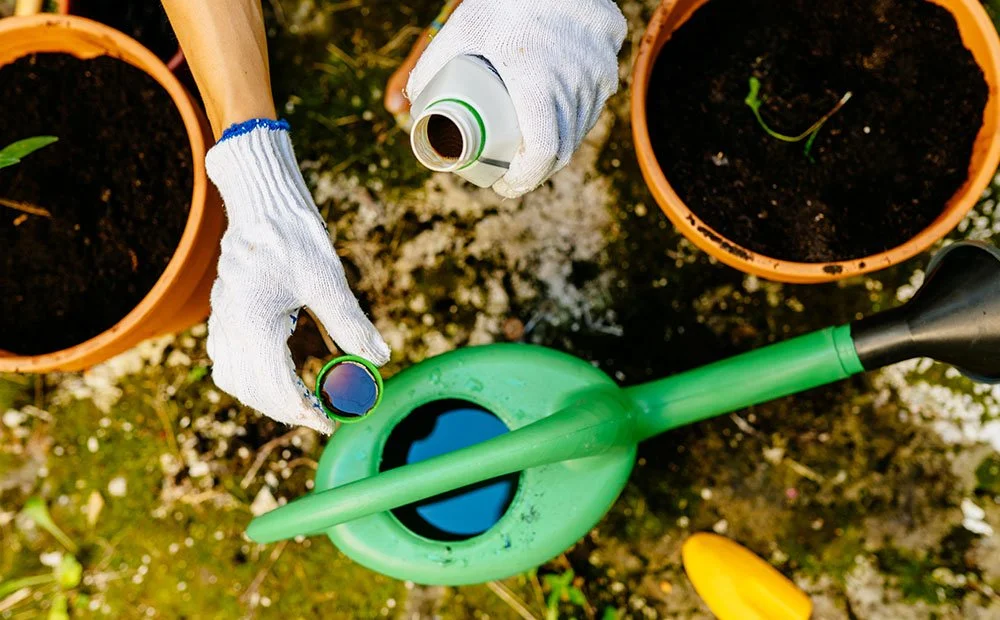 measuring liquid fertilizer next to a watering can and indoor plants