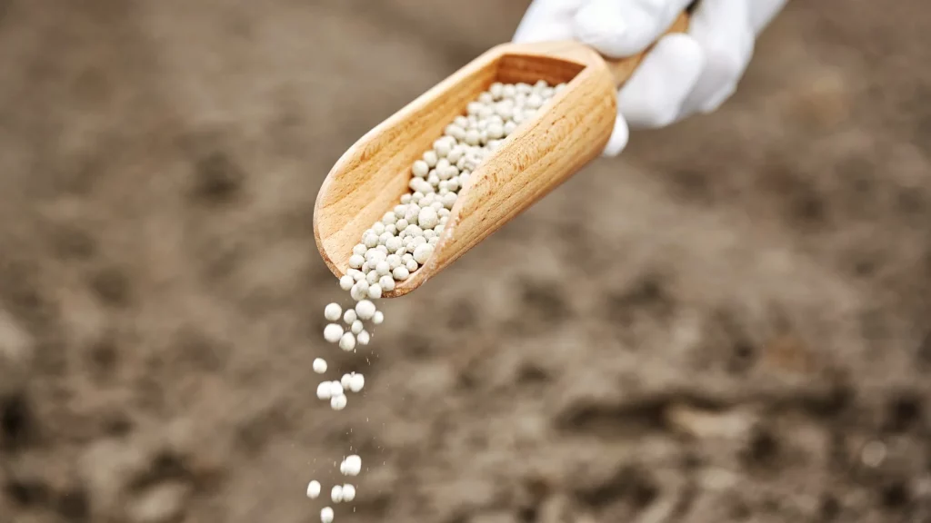 different types of outdoor fertilizer granules in a gardener’s hand.