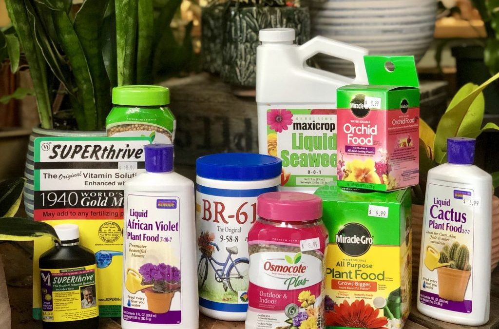 Can You Use Outdoor Plant Food on Indoor Plants? (Safe vs Risky Options)