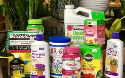 Can You Use Outdoor Plant Food on Indoor Plants? (Safe vs Risky Options)