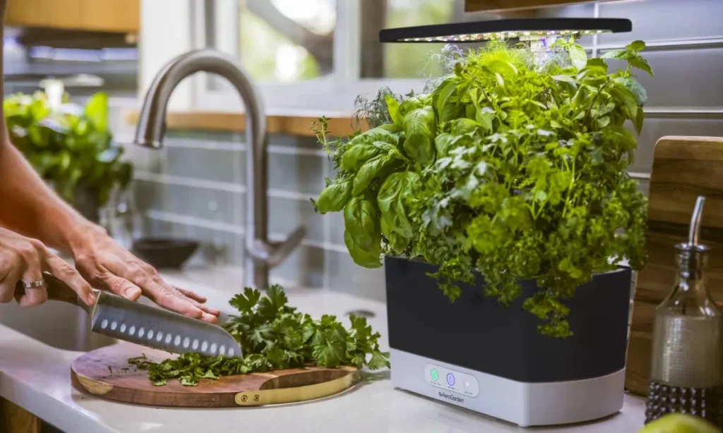 indoor smart garden on a kitchen counter growing fresh herbs