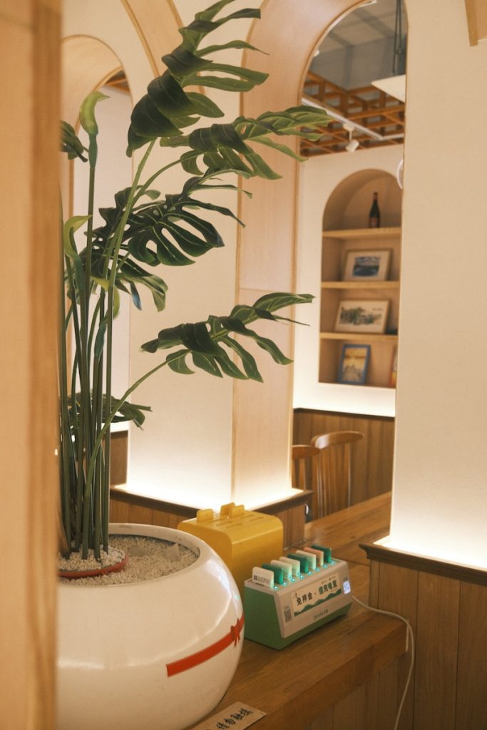 Swiss cheese plant with fenestrated leaves in a bright indoor corner