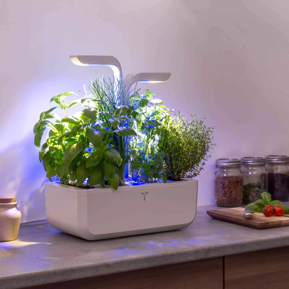 countertop indoor herb garden kit with fresh herbs under LED light