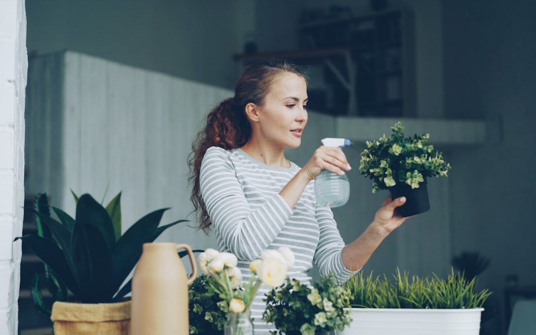Indoor Garden Care Tips for Healthy Plants