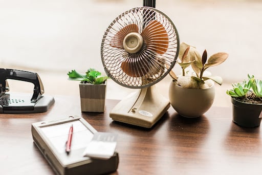 gentle airflow improving indoor plant health