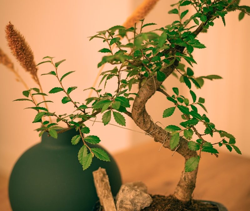 a bonsai tree in a blue pot on a table.