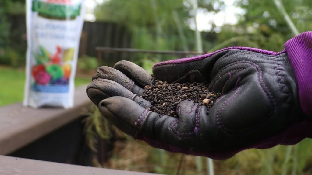 controlled-release fertilizer granules in a gardener’s hand above a pot