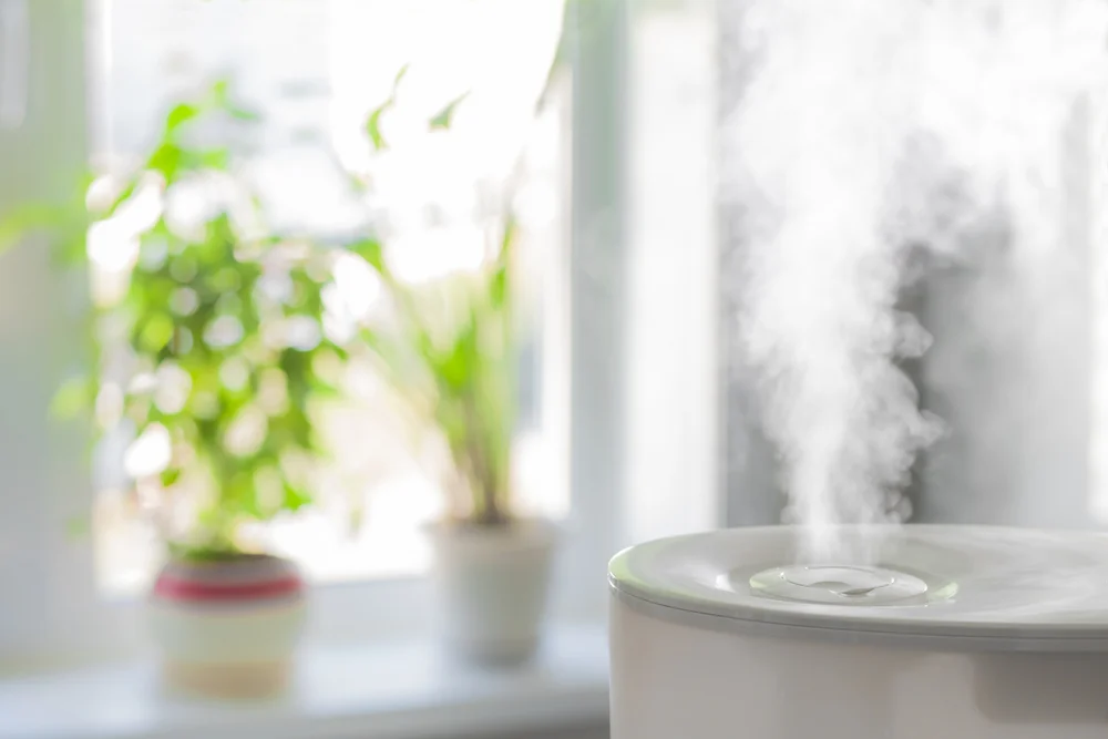 Best Smart Humidifiers for Indoor Plants (Set Ideal Moisture Automatically)