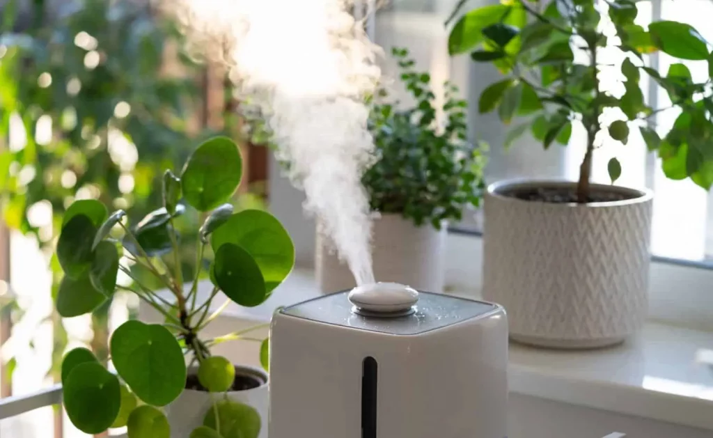 smart humidifier increasing air moisture for indoor plants.