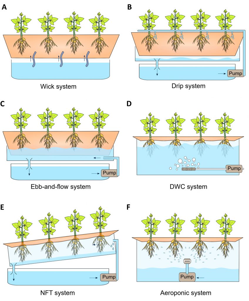 hydroponic system types comparison