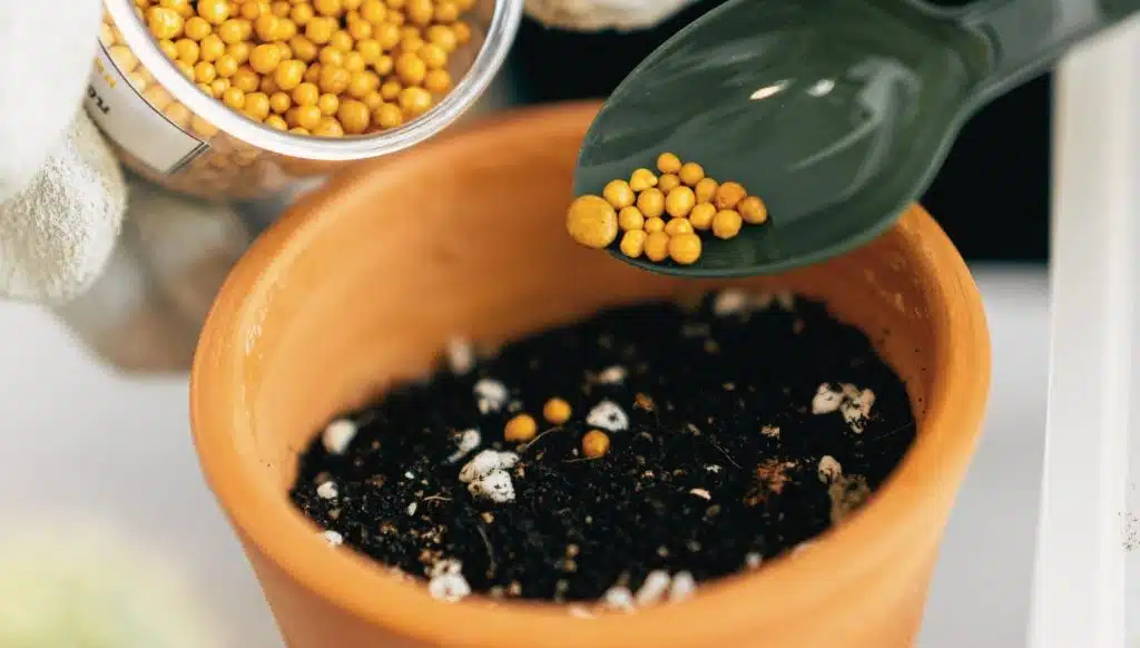 Yellow controlled-release pellets on a scoop above a plant pot