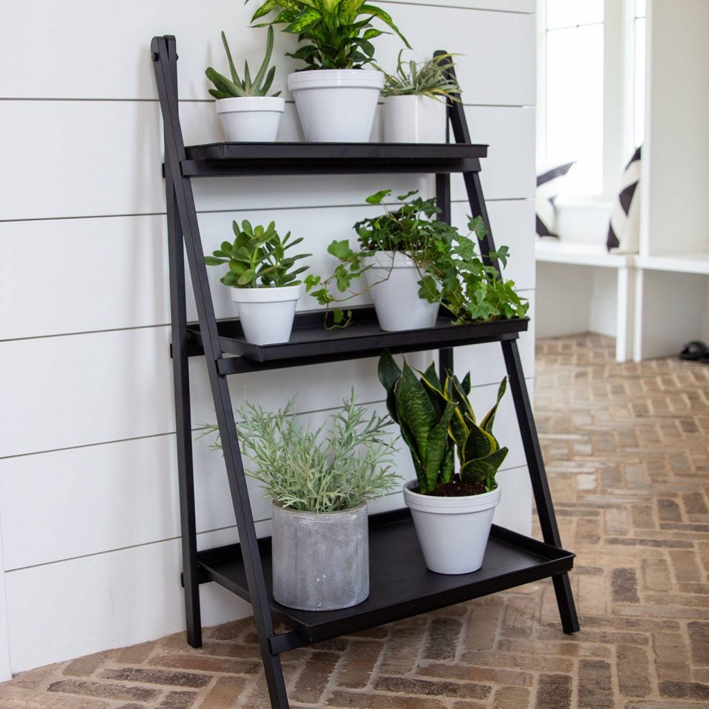 ladder-style indoor plant stand with multiple tiers near a bright window.