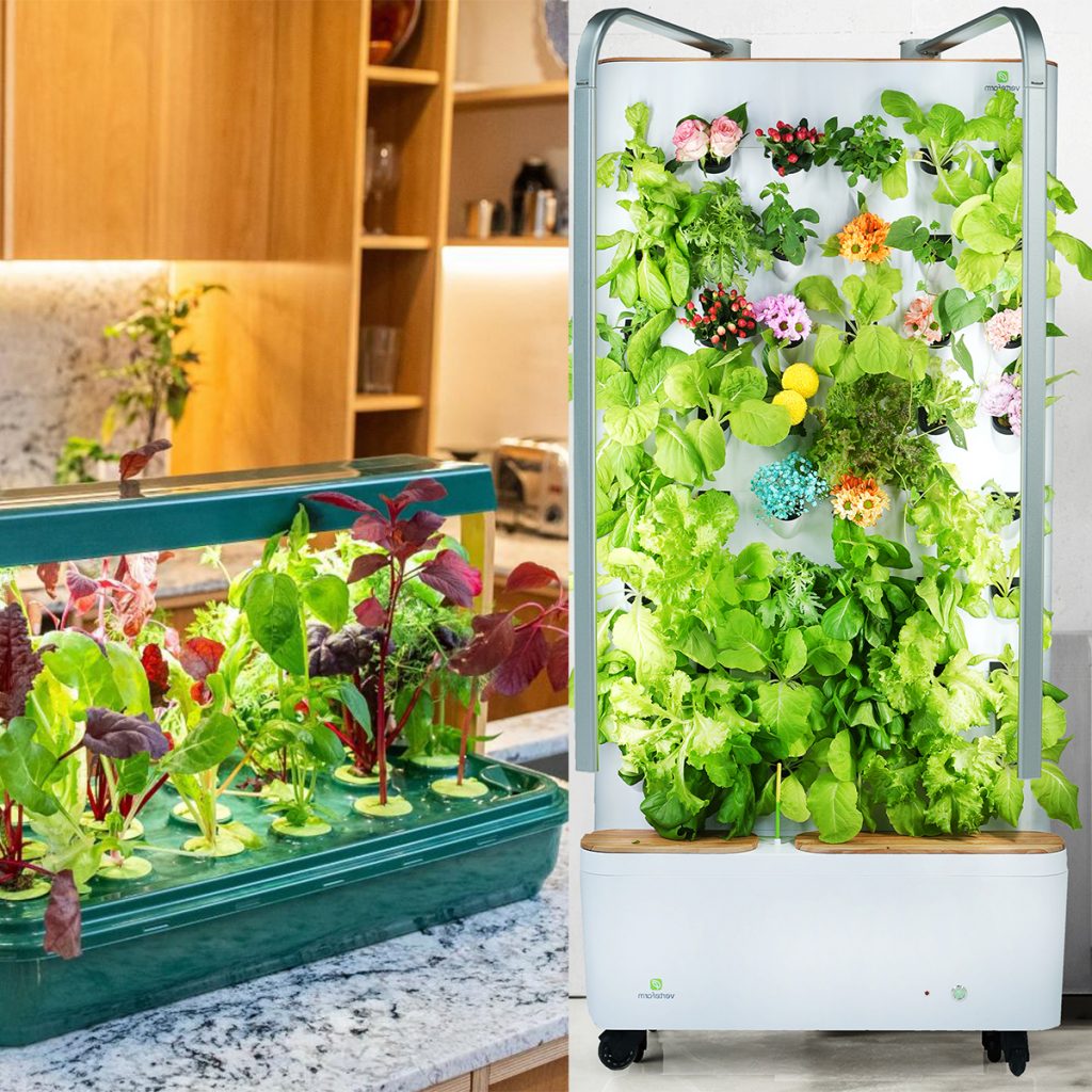 small and large indoor hydroponic garden systems side by side
