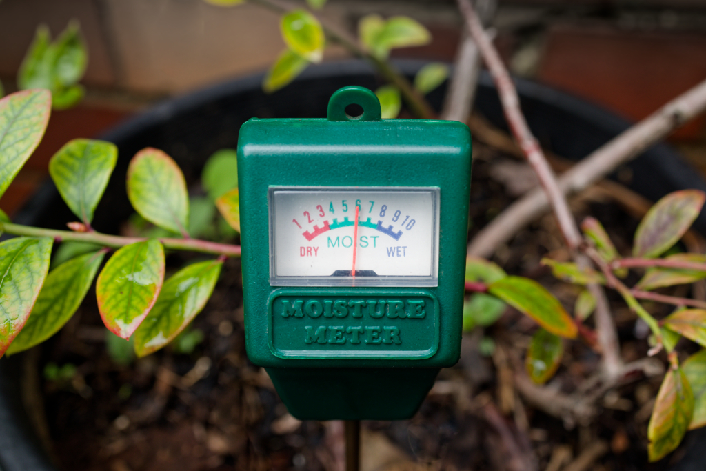 soil moisture meter checking moisture level in an indoor plant pot