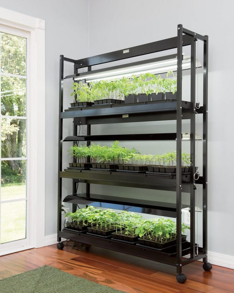 tech-enhanced indoor garden with plants under slim LED grow lights on shelves.