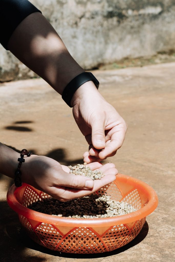 adding gritty soil mix to indoor succulent garden container