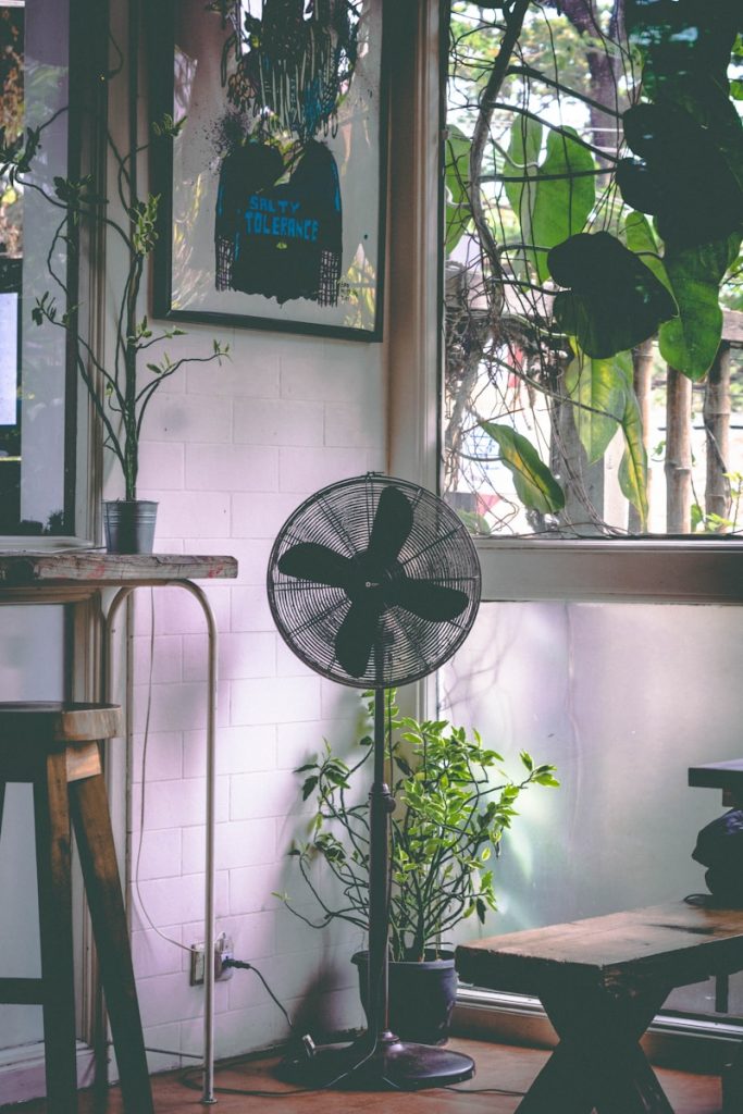 small fan improving airflow around houseplants