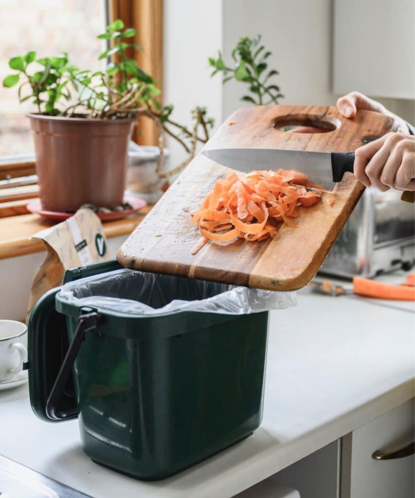 Indoor composting setup with a kitchen caddy and worm bin beside houseplants