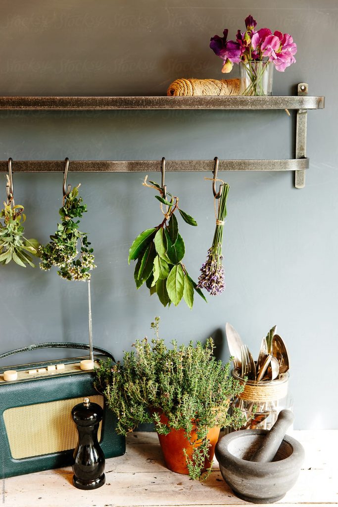 Medicinal herbs hanging upside down to dry above glass jars in a kitchen