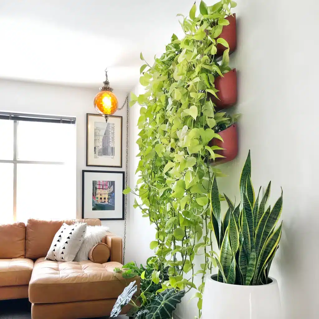 indoor vertical plant wall