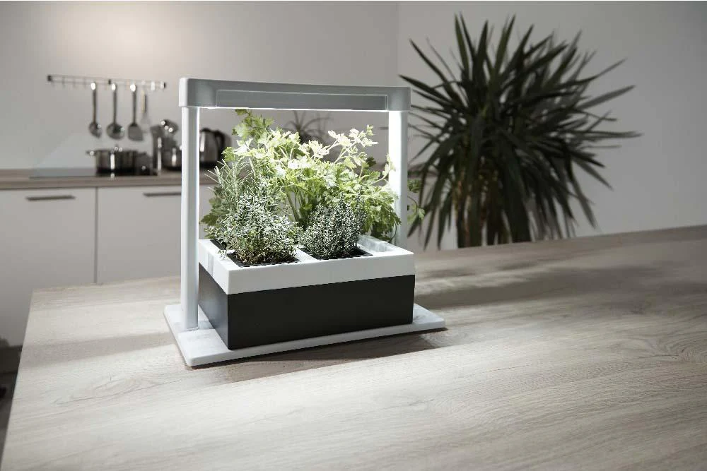 Indoor herb planter on a worktop under a slim LED grow light strip.