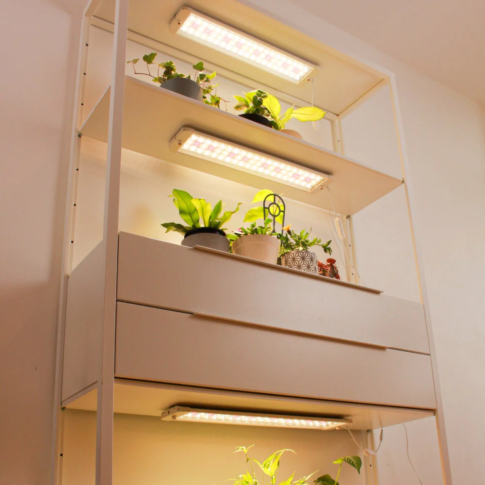 The role of artificial lighting in indoor gardens with herbs growing under an LED light bar
