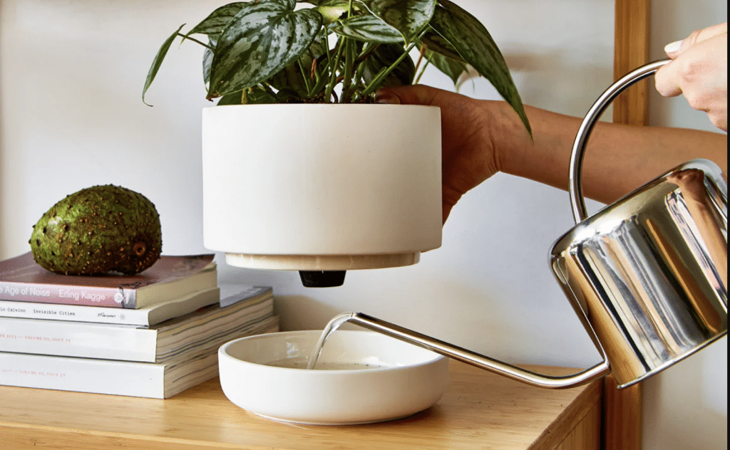 Selection of foliage houseplants growing in matching self-watering pots on a shelf