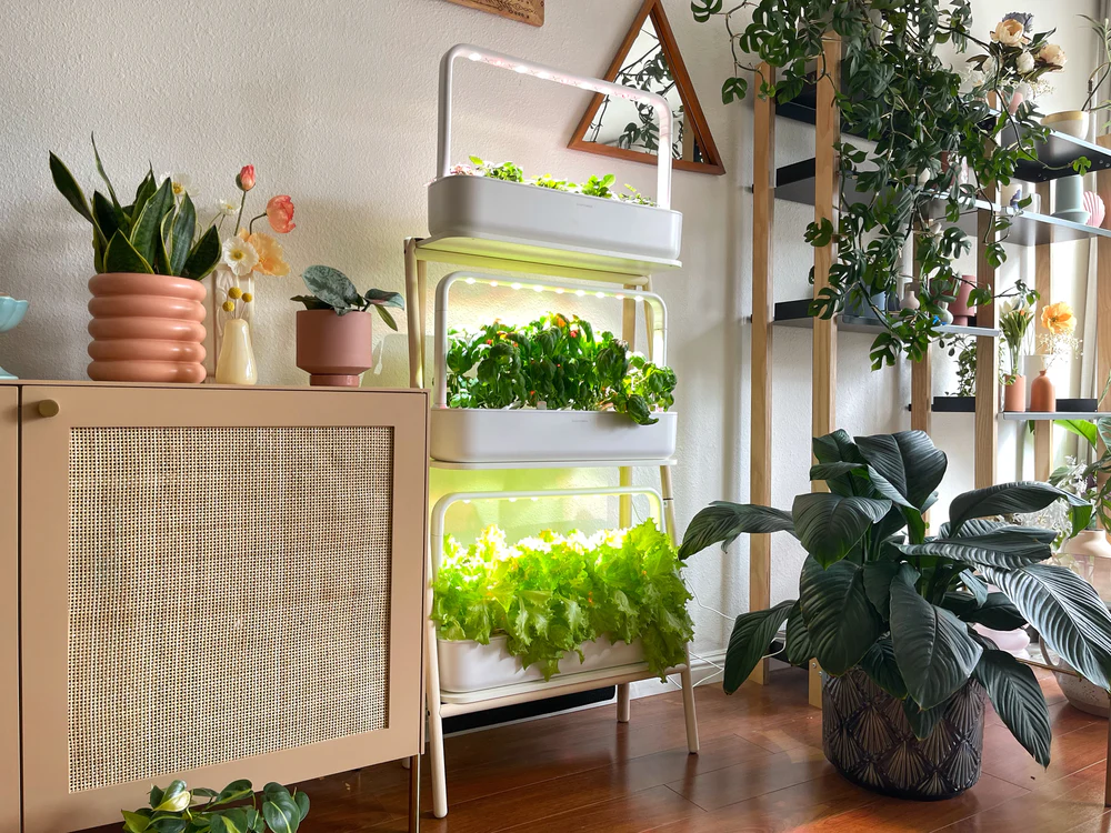 Indoor garden shelf with plants under LED grow panels in a living room corner