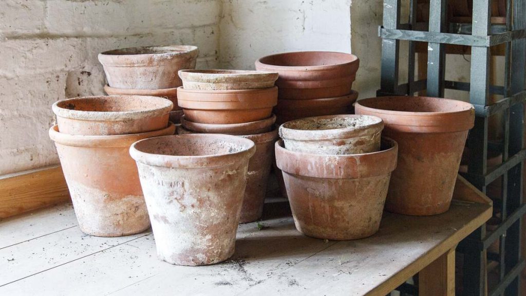 Clean indoor plant pots by removing mineral salt build-up on terracotta.