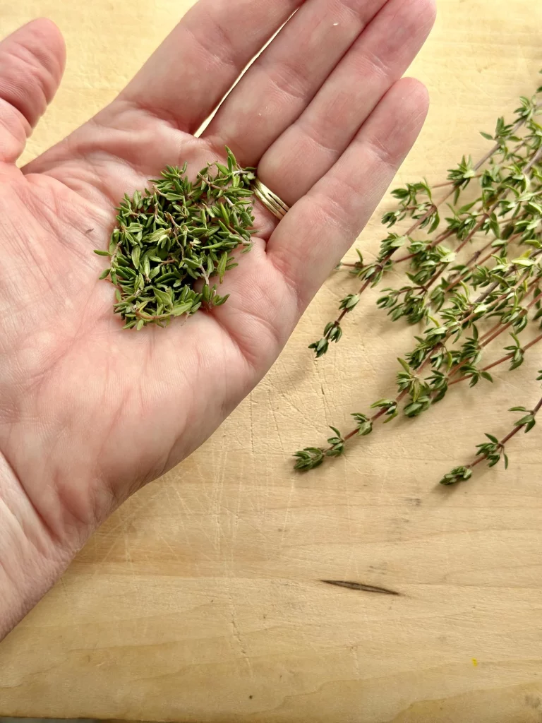 How to prune thyme indoors by snipping stems above a leafy node.