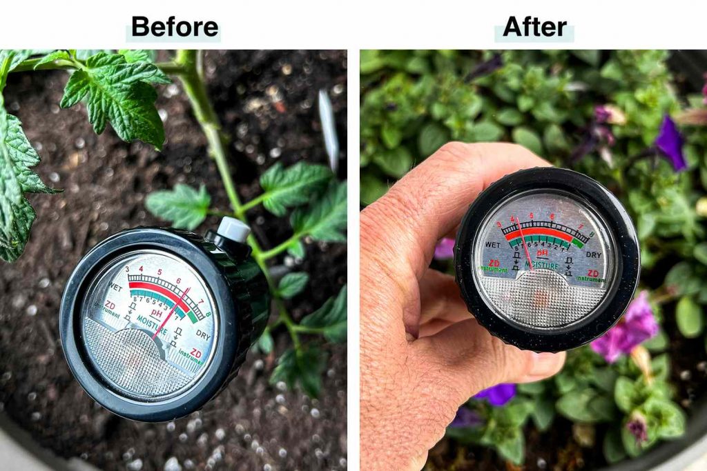 Correct soil moisture meter depth for indoor plants test mid-pot not just the surface