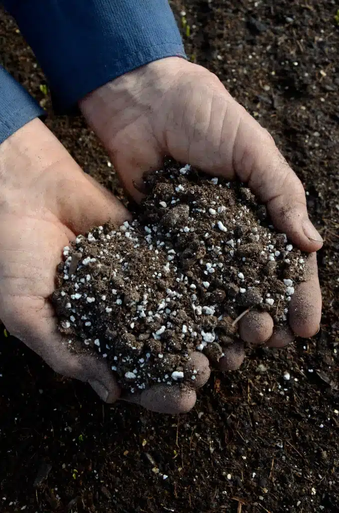 Loose, well-draining compost mix for growing peanuts indoors in containers