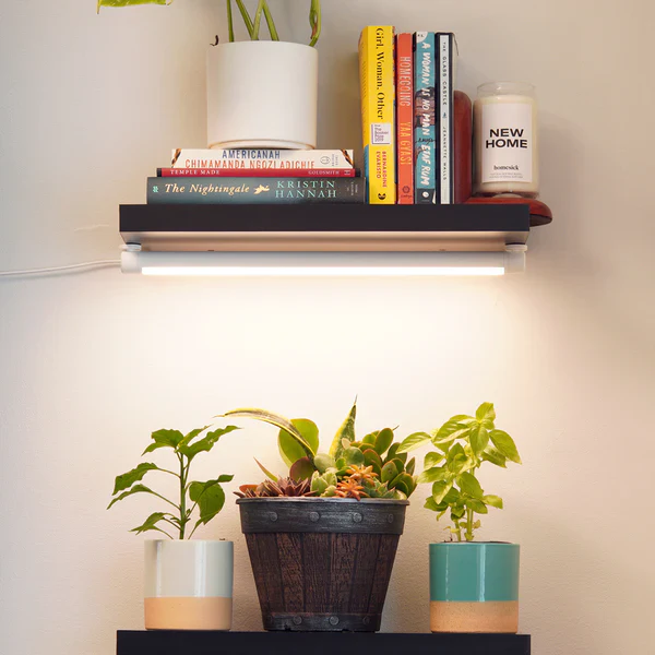 LED grow light bar over indoor herbs for stronger indoor growth.