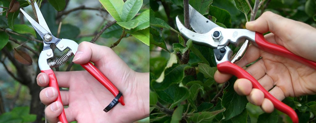 Micro-tip pruning snips vs bypass pruning shears for indoor plants