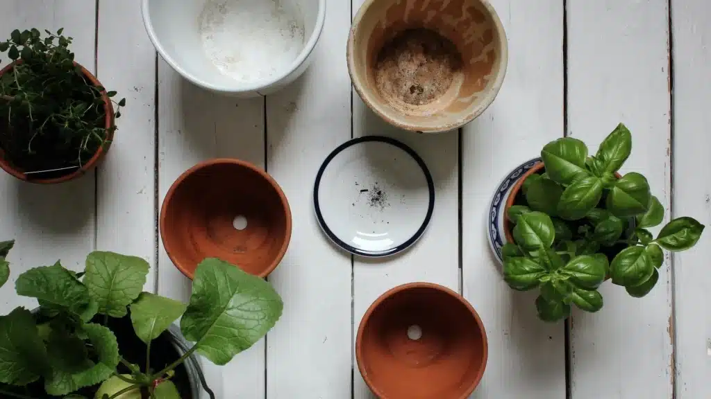 Decorative cachepot trapping water