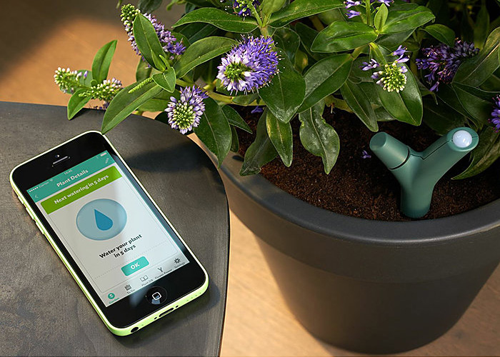 Smart plant sensor app used to monitor an indoor plant in a smart indoor garden setup