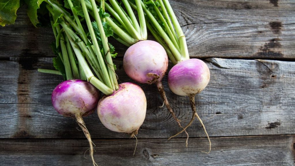 turnip seedlings growing indoors in a deep pot on a bright windowsill
